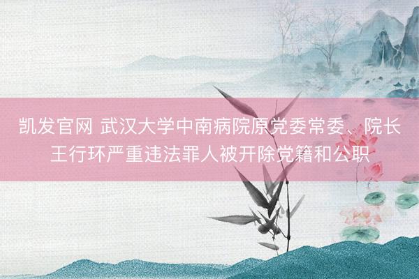 凯发官网 武汉大学中南病院原党委常委、院长王行环严重违法罪人被开除党籍和公职