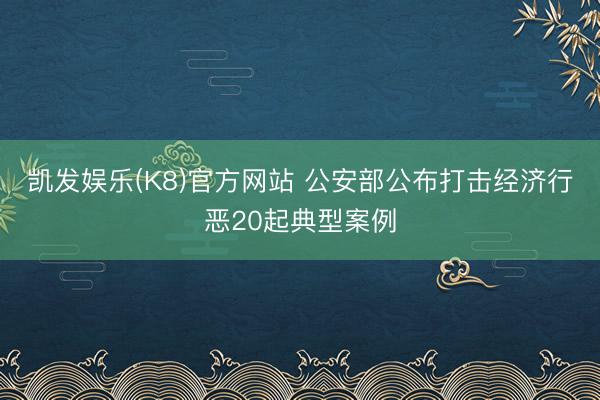 凯发娱乐(K8)官方网站 公安部公布打击经济行恶20起典型案例