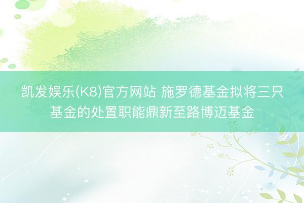 凯发娱乐(K8)官方网站 施罗德基金拟将三只基金的处置职能鼎新至路博迈基金