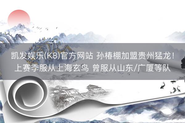 凯发娱乐(K8)官方网站 孙椿棚加盟贵州猛龙！上赛季服从上海玄鸟 曾服从山东/广厦等队