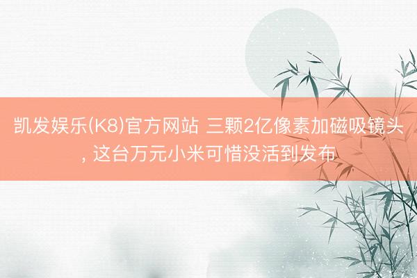 凯发娱乐(K8)官方网站 三颗2亿像素加磁吸镜头， 这台万元小米可惜没活到发布