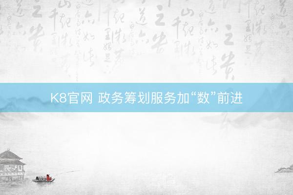 K8官网 政务筹划服务加“数”前进