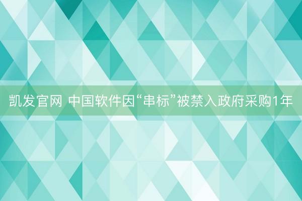 凯发官网 中国软件因“串标”被禁入政府采购1年