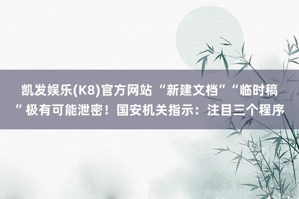 凯发娱乐(K8)官方网站 “新建文档”“临时稿”极有可能泄密！国安机关指示：注目三个程序