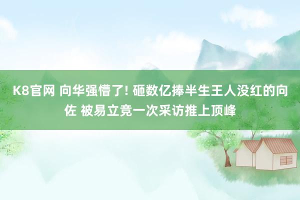 K8官网 向华强懵了! 砸数亿捧半生王人没红的向佐 被易立竞一次采访推上顶峰
